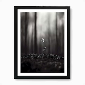 Lily Of The Valley 9 Art Print