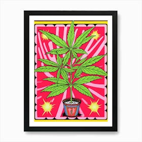 Pink And Red Plant Illustration Dracaena Lemon Lime 2 Art Print
