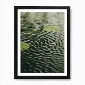 Water Lily 4 Art Print