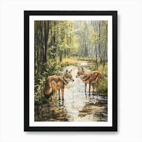 Coyotes At The Stream In The Woods Art Print