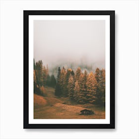 Foggy Fall Forest Art Print