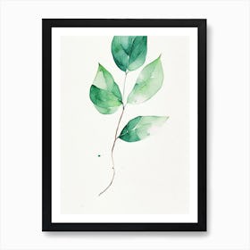 Wintergreen Leaf Minimalist Watercolour 2 Art Print