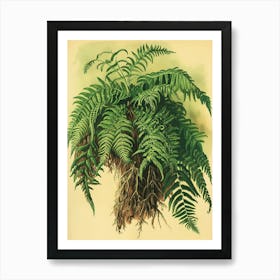 Vintage Illustration Upside Down Fern 3 Art Print