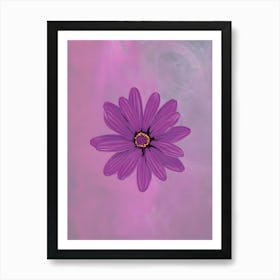 Purple Daisy Art Print