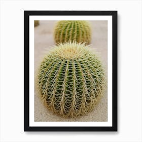 Cabo Cactus IV Art Print