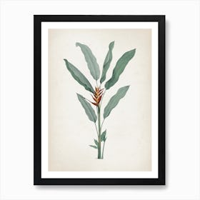 Vintage Redouté 2 Heliconia Humilis Art Print