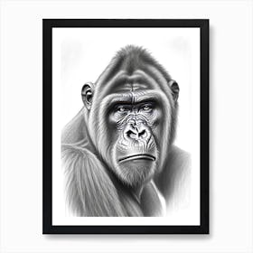 Gorilla With Confused Face Gorillas Greyscale Sketch 1 Poster