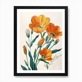 Orange Tulips 5 Art Print