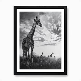 Herd Of Giraffes In The Sun Pencil Drawing 1 Art Print