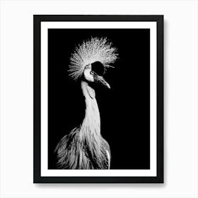 Long Beak Bird in Line Art Art Print