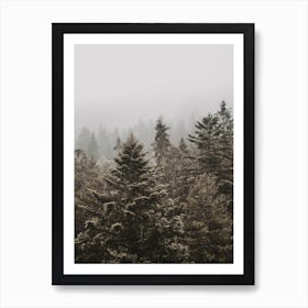 Green Pine Forest Art Print