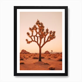  Photograph Of A Joshua Tree At Dawn In Desert 2 Art Print