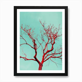 Bare Tree Against Blue Sky Art Print