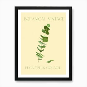 Botanical Vintage Eucalyptus Art Print