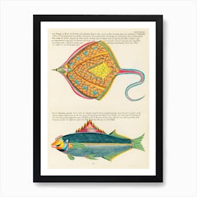 Colourful And Surreal Illustrations Of Fishes Found In Moluccas (Indonesia) And The East Indies, Louis Renard(5) Art Print