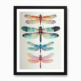 Colourful Insect Illustration Dragonfly 3 Art Print