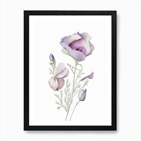 Eustoma Floral Quentin Blake Inspired Illustration 2 Flower Poster