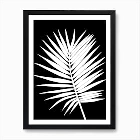 White Palm Leaf On Black Background Art Print