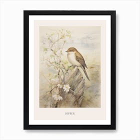 Vintage Bird Drawing Dipper 3 Poster Art Print