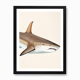 Sand Tiger Shark Vintage Art Print