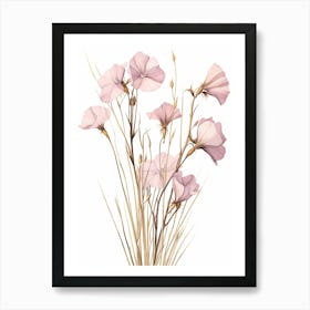 Floral Illustration Flax Flower 2 Art Print