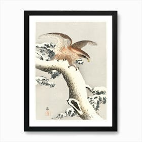 Eagle On A Tree Branch (1887 1930), Ohara Koson Art Print