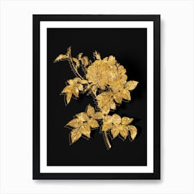 Vintage White Rosebush Botanical in Gold on Black n.0001 Art Print