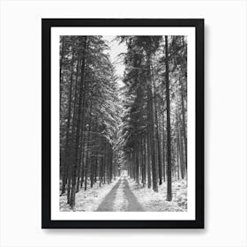 Snow Road In The Woods Forest Art Print