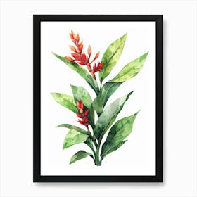 Hibiscus 18 Art Print