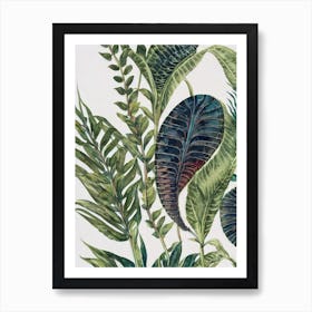 Trilobite Vintage Graphic Watercolour Art Print