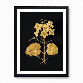 Vintage Catalpa Cordifolia Flower Botanical in Gold on Black n.0401 Art Print