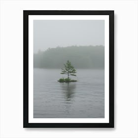 Lone Tree In The Fog 1 Art Print