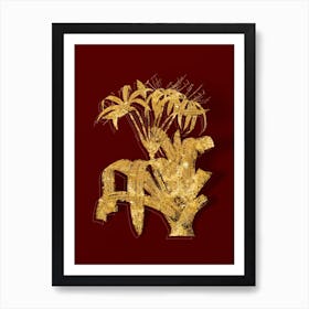 Vintage Crinum Erubescens Botanical in Gold on Red n.0374 Art Print