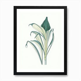 Hosta Floral Minimal Line Drawing 3 Flower Art Print