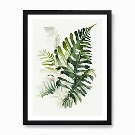 Crested Wood Fern  3watercolour Art Print