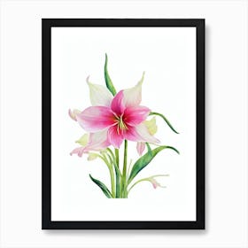 Amaryllis Watercolour Flower Art Print