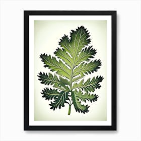 Tansy Leaf Vintage Botanical 1 Art Print