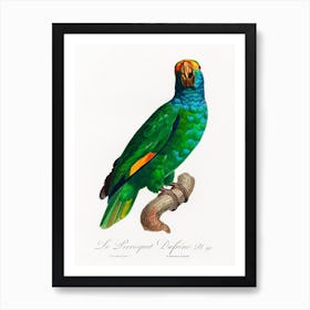 The Blue Cheeked Amazon From Natural History Of Parrots, Francois Levaillant Art Print