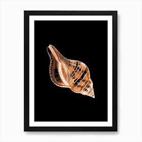 Gold and Black Seashell Illustration Art Print