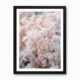 Frosty Botanical Winter Jasmine 2 Art Print