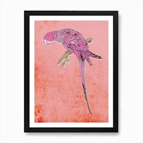 Pink Parrot Art Print