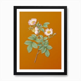 Vintage Short Styled Field Rose Botanical on Sunset Orange n.0661 Art Print