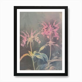 Iridescent Flower Bee Balm 2 Art Print