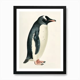 Adlie Penguin Carcass Island Vintage Botanical Painting 2 Art Print