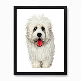 Old English Sheepdogs Illustration Art Print