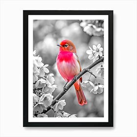 Pink Bird (4) Art Print