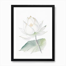 White Lotus Pencil Illustration 3 Art Print