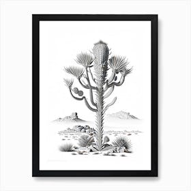 Silver Torch Joshua Tree Vintage Botanical Line Drawing  Art Print