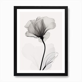 Gladioli Line Art Flowers Illustration Neutral 4 Art Print