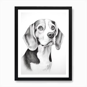 Beagle Dog, Line Drawing 3 Art Print
